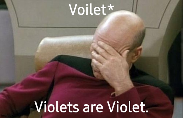 Captain Picard Facepalm Meme | Voilet* Violets are Violet. | image tagged in memes,captain picard facepalm | made w/ Imgflip meme maker