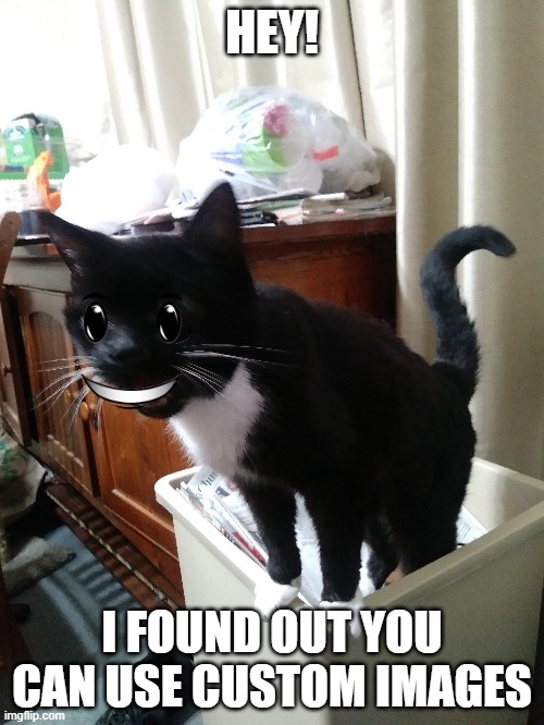 cat | HEY! I FOUND OUT YOU CAN USE CUSTOM IMAGES | image tagged in i love cats | made w/ Imgflip meme maker