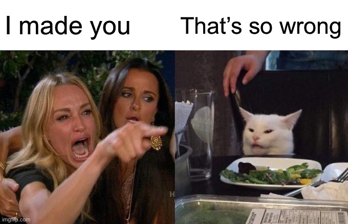 Woman Yelling At Cat Meme | I made you; That’s so wrong | image tagged in memes,woman yelling at cat | made w/ Imgflip meme maker