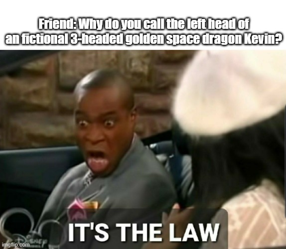 For you Godzilla fans out there | Friend: Why do you call the left head of an fictional 3-headed golden space dragon Kevin? | image tagged in it's the law | made w/ Imgflip meme maker
