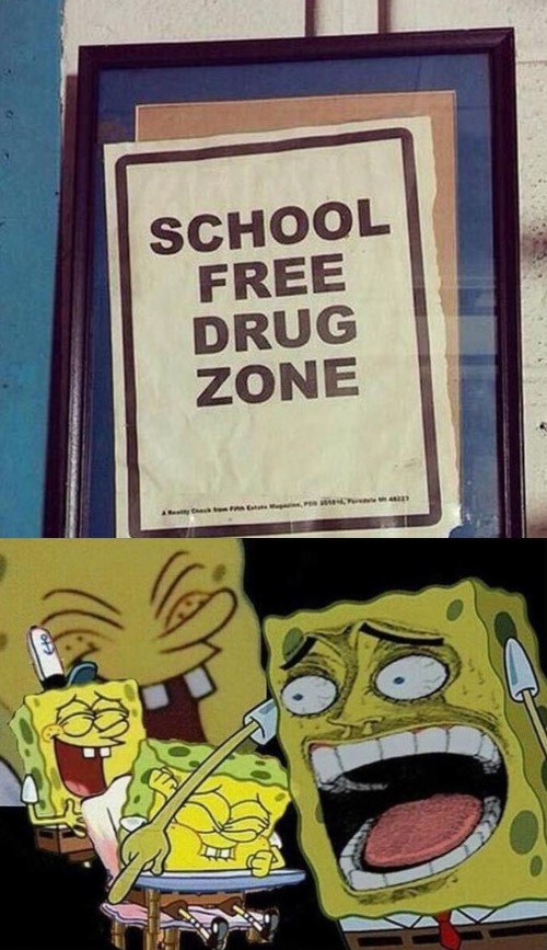 drug free school zone | image tagged in spongebob laughing hysterically | made w/ Imgflip meme maker