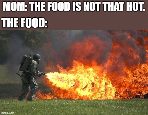 more a dad thing, but whatever. | MOM: THE FOOD IS NOT THAT HOT. THE FOOD: | image tagged in flamethrower,memes,moms,food,relatable | made w/ Imgflip meme maker