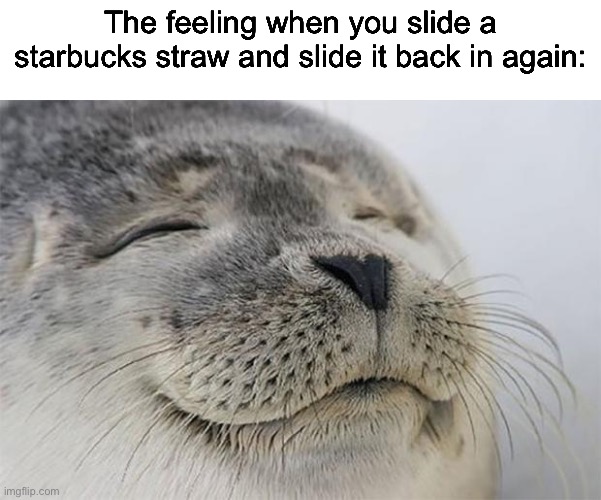 Perfection | The feeling when you slide a starbucks straw and slide it back in again: | image tagged in memes,satisfied seal | made w/ Imgflip meme maker