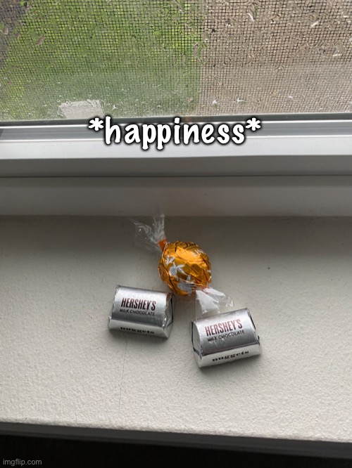 *happiness* | made w/ Imgflip meme maker