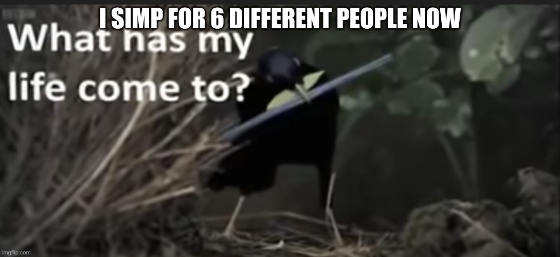 What has my life come to? | I SIMP FOR 6 DIFFERENT PEOPLE NOW | image tagged in what has my life come to | made w/ Imgflip meme maker