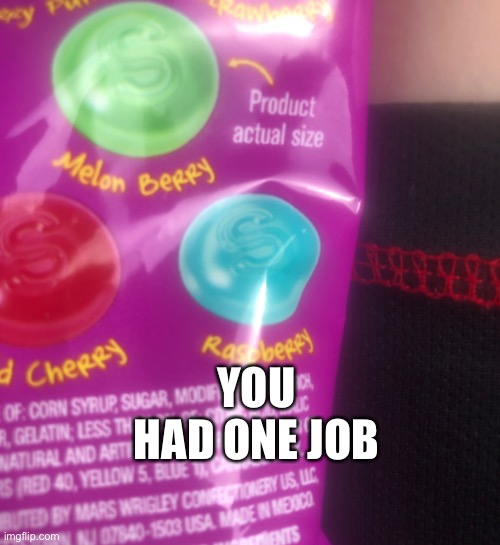You had one job | YOU HAD ONE JOB | image tagged in funny memes,memes | made w/ Imgflip meme maker