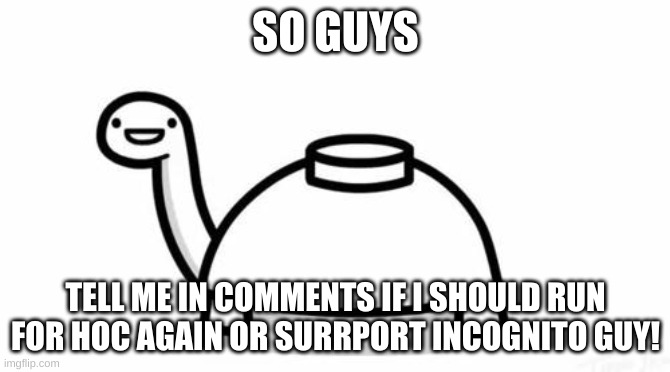 i cant decide lol | SO GUYS; TELL ME IN COMMENTS IF I SHOULD RUN FOR HOC AGAIN OR SURRPORT INCOGNITO GUY! | image tagged in mine turtle | made w/ Imgflip meme maker