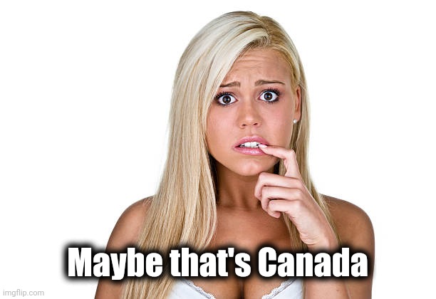 Dumb Blonde | Maybe that's Canada | image tagged in dumb blonde | made w/ Imgflip meme maker