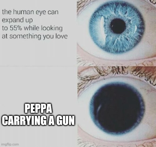 Eye pupil expand | PEPPA CARRYING A GUN | image tagged in eye pupil expand | made w/ Imgflip meme maker