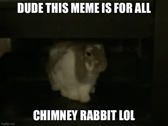 Chimney rabbit | DUDE THIS MEME IS FOR ALL; CHIMNEY RABBIT LOL | image tagged in chimney rabbit | made w/ Imgflip meme maker