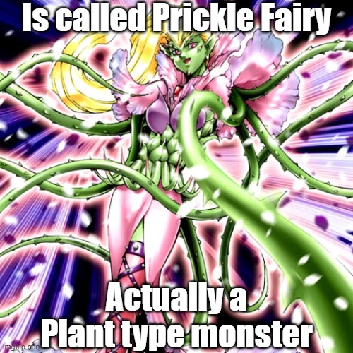 Misleading monster type 25 | Is called Prickle Fairy; Actually a Plant type monster | image tagged in yugioh | made w/ Imgflip meme maker