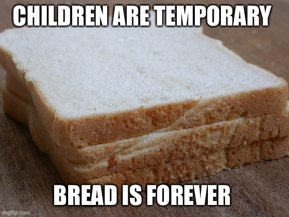 These are my priorities | CHILDREN ARE TEMPORARY; BREAD IS FOREVER | image tagged in bread sandwhich | made w/ Imgflip meme maker