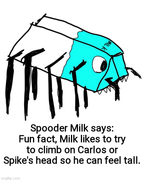 Spooder Milk | Spooder Milk says:
Fun fact, Milk likes to try to climb on Carlos or Spike's head so he can feel tall. | image tagged in spooder milk,oh wow are you actually reading these tags | made w/ Imgflip meme maker