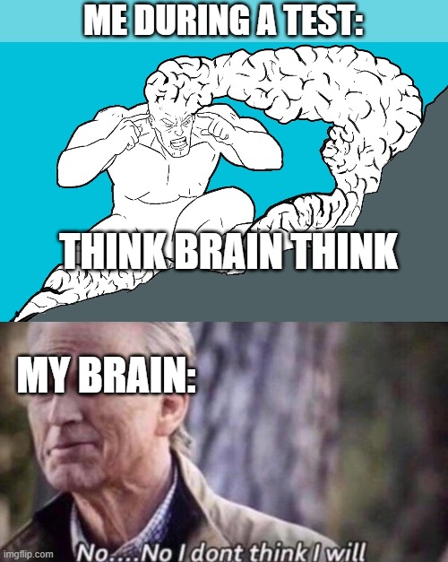 ME DURING A TEST:; THINK BRAIN THINK; MY BRAIN: | image tagged in no i don't think i will | made w/ Imgflip meme maker