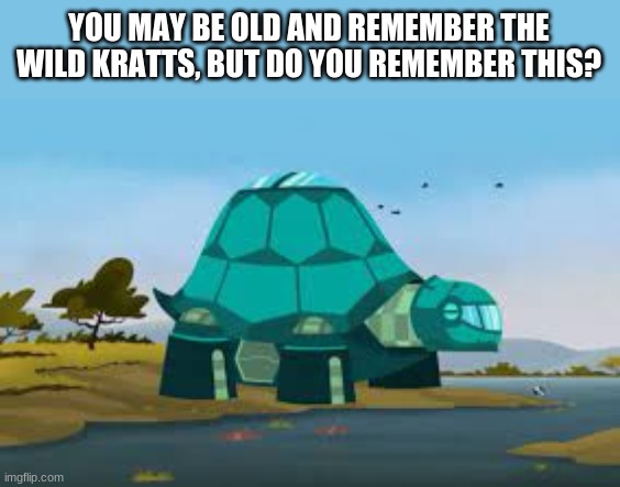The Tortuga... I bet NONE of y'all remember this from the Wild Kratts. I sure didn't until scrolling through KERA Kids | YOU MAY BE OLD AND REMEMBER THE WILD KRATTS, BUT DO YOU REMEMBER THIS? | image tagged in wild kratts,tortuga,turtle | made w/ Imgflip meme maker