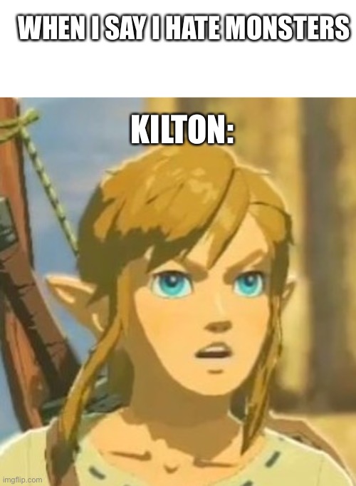 I lOVE mOnStErS | WHEN I SAY I HATE MONSTERS; KILTON: | image tagged in offended link,link,botw | made w/ Imgflip meme maker