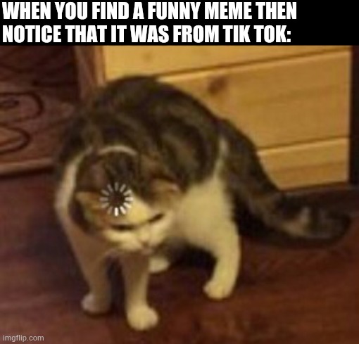 Loading cat | WHEN YOU FIND A FUNNY MEME THEN
NOTICE THAT IT WAS FROM TIK TOK: | image tagged in loading cat | made w/ Imgflip meme maker