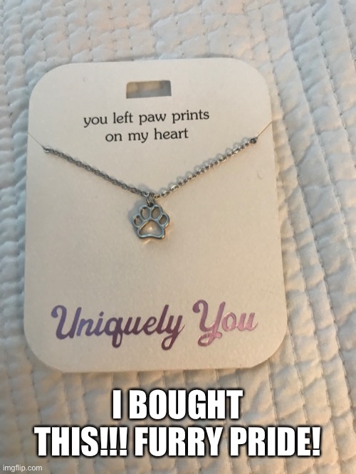 Ngl this would be the best furry couple gift | I BOUGHT THIS!!! FURRY PRIDE! | image tagged in furry | made w/ Imgflip meme maker