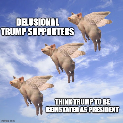 When Pigs Fly | DELUSIONAL TRUMP SUPPORTERS; THINK TRUMP TO BE REINSTATED AS PRESIDENT | image tagged in delusional,psycho,the big lie,insurrection,my pillow is a liar | made w/ Imgflip meme maker