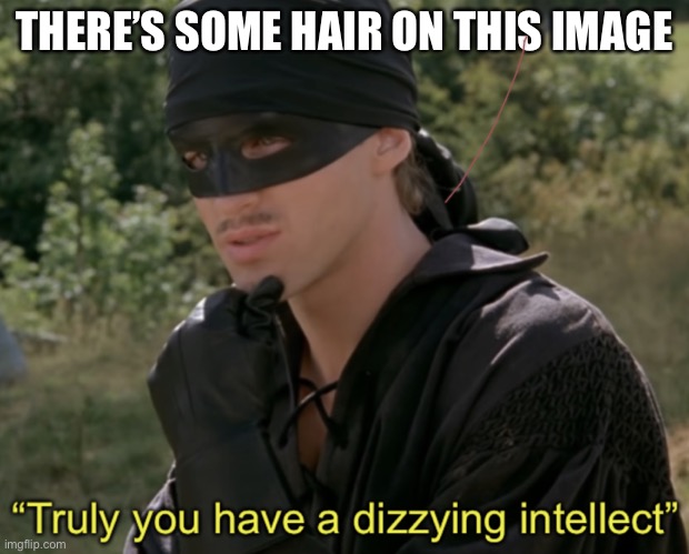 Truly you have a dizzying intellect | THERE’S SOME HAIR ON THIS IMAGE | image tagged in truly you have a dizzying intellect | made w/ Imgflip meme maker