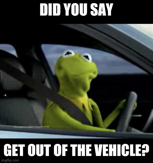 Kermit Driving | DID YOU SAY GET OUT OF THE VEHICLE? | image tagged in kermit driving | made w/ Imgflip meme maker