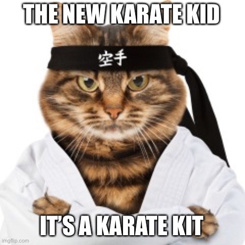 Karate cat | THE NEW KARATE KID; IT’S A KARATE KIT | image tagged in karate cat | made w/ Imgflip meme maker