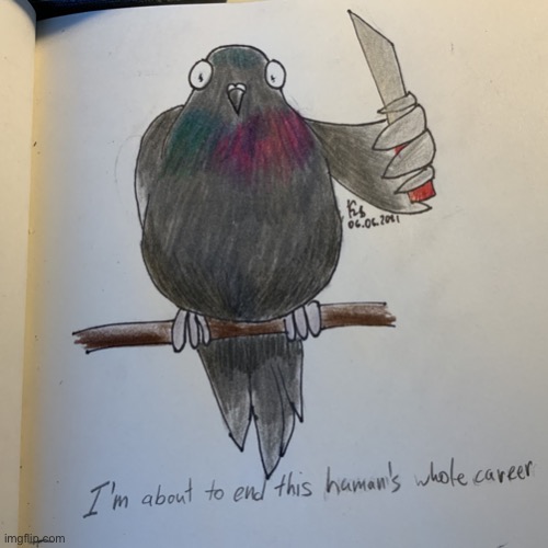Pigeon | image tagged in i'm about to end this human's whole career | made w/ Imgflip meme maker