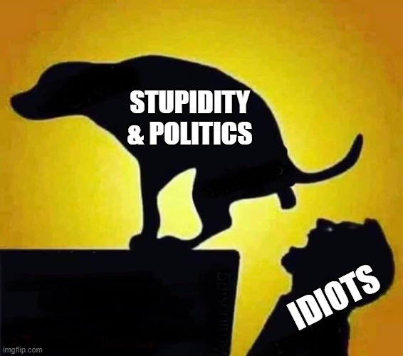 How idiots are created | STUPIDITY & POLITICS; IDIOTS | image tagged in dog pooping in mouth | made w/ Imgflip meme maker