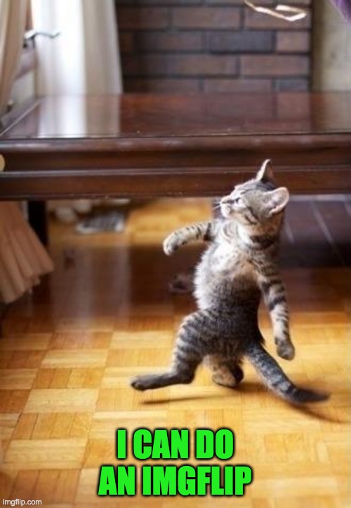 Cool Cat Stroll Meme | I CAN DO AN IMGFLIP | image tagged in memes,cool cat stroll | made w/ Imgflip meme maker