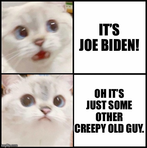 cute white cat template |  IT’S JOE BIDEN! OH IT’S JUST SOME OTHER CREEPY OLD GUY. | image tagged in cute white cat template | made w/ Imgflip meme maker