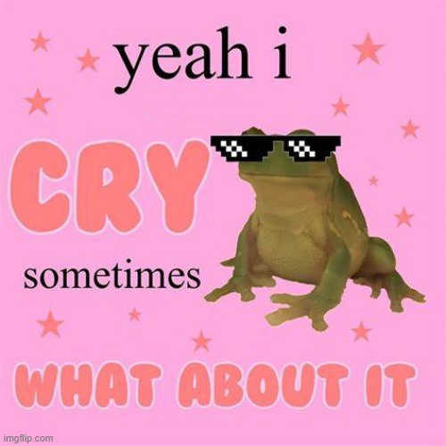 ✨ | made w/ Imgflip meme maker