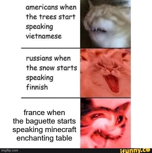 :o | france when the baguette starts speaking minecraft enchanting table | image tagged in americans when | made w/ Imgflip meme maker