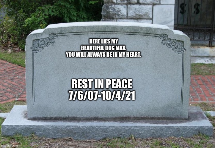 im not goofing around. i am very sad | HERE LIES MY BEAUTIFUL DOG MAX.
YOU WILL ALWAYS BE IN MY HEART. REST IN PEACE
7/6/07-10/4/21 | image tagged in gravestone,dog dead,sad,sad meme | made w/ Imgflip meme maker