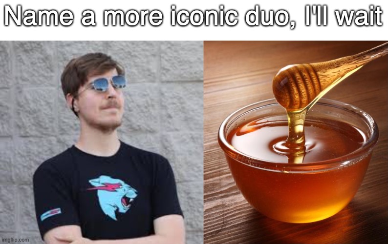 I have a challenge for you: Go to every computer in your house, your mom's, your dad's, your sister's, your brother's, and insta |  Name a more iconic duo, I'll wait | image tagged in mrbeast,honey,youtube,advertising,name a more iconic duo,name a more iconic duo i'll wait | made w/ Imgflip meme maker