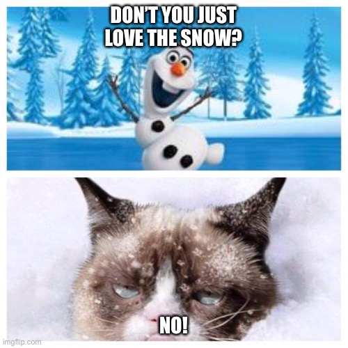 No more snow  |  DON’T YOU JUST LOVE THE SNOW? NO! | image tagged in no more snow | made w/ Imgflip meme maker