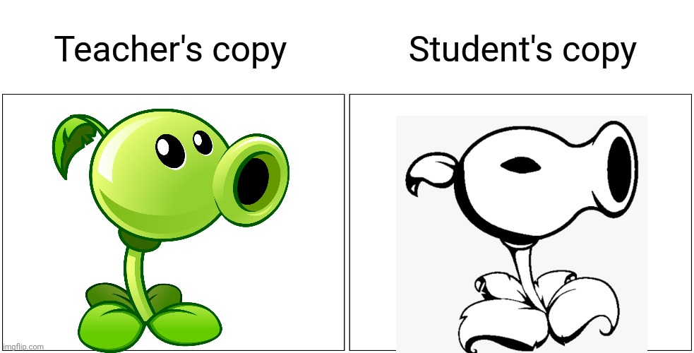 If you don't get it, search about the "deadplants.exe" creepypasta of PvZ. | Student's copy; Teacher's copy | image tagged in memes,blank comic panel 2x1,teacher's copy,plants vs zombies,deadplants exe | made w/ Imgflip meme maker