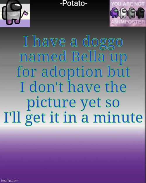 -Potato- among us asexual announcement |  I have a doggo named Bella up for adoption but I don't have the picture yet so I'll get it in a minute | image tagged in -potato- among us asexual announcement | made w/ Imgflip meme maker