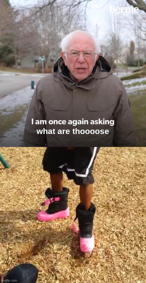 hahahaha lmao | what are thoooose | image tagged in memes,bernie i am once again asking for your support,what are thoseee | made w/ Imgflip meme maker