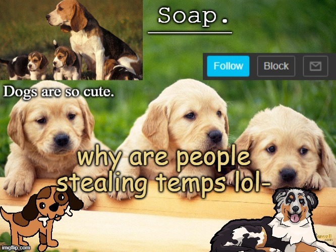 Soap doggo temp | why are people stealing temps lol- | image tagged in soap doggo temp ty yachi | made w/ Imgflip meme maker