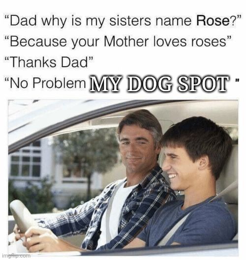 Naming kids after something you love | MY DOG SPOT | image tagged in why is my sister's name rose,funny names,dog,woof,funny memes | made w/ Imgflip meme maker