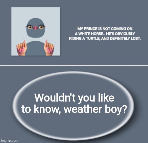 Emily | Wouldn't you like to know, weather boy? | image tagged in emily | made w/ Imgflip meme maker