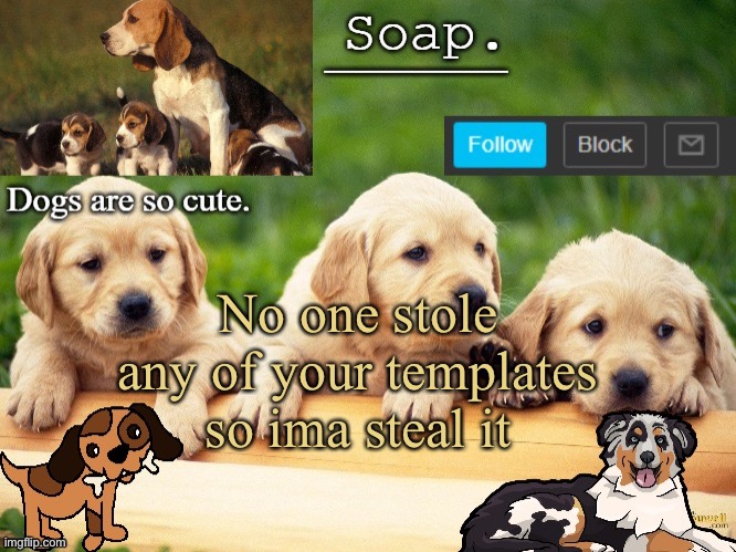 Soap doggo temp | No one stole any of your templates so ima steal it | image tagged in soap doggo temp ty yachi | made w/ Imgflip meme maker