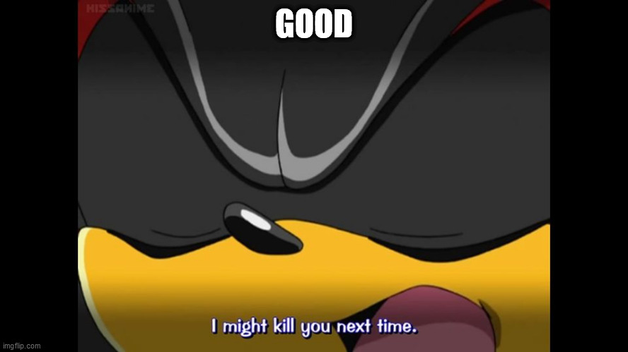 Shadow the hedgehog might kill you next time | GOOD | image tagged in shadow the hedgehog might kill you next time | made w/ Imgflip meme maker