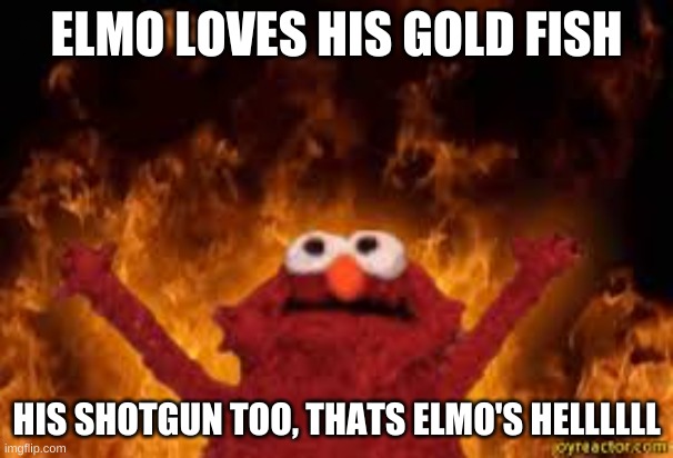 Welcome to hell boyz | ELMO LOVES HIS GOLD FISH; HIS SHOTGUN TOO, THATS ELMO'S HELLLLLL | image tagged in welcome to hell boyz | made w/ Imgflip meme maker