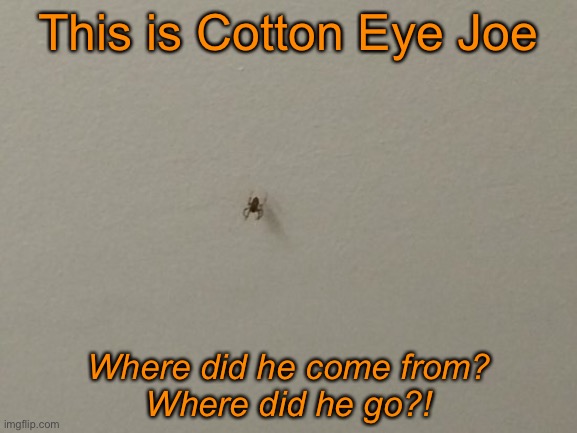 I Feel Itchy! My Skin is Crawling! | This is Cotton Eye Joe; Where did he come from?
Where did he go?! | image tagged in funny memes | made w/ Imgflip meme maker