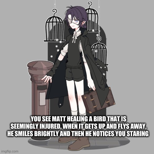 Matthew (AKA MATT) | YOU SEE MATT HEALING A BIRD THAT IS SEEMINGLY INJURED, WHEN IT GETS UP AND FLYS AWAY, HE SMILES BRIGHTLY AND THEN HE NOTICES YOU STARING | image tagged in matthew | made w/ Imgflip meme maker