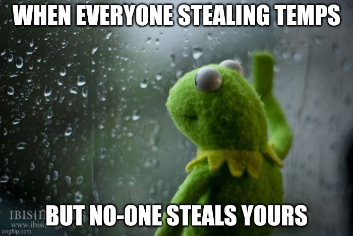 Lol hardly any of msmg knows abt me | WHEN EVERYONE STEALING TEMPS; BUT NO-ONE STEALS YOURS | image tagged in kermit window | made w/ Imgflip meme maker
