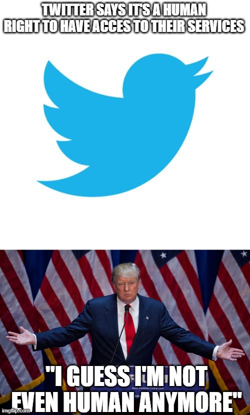 TWITTER SAYS IT'S A HUMAN RIGHT TO HAVE ACCES TO THEIR SERVICES; "I GUESS I'M NOT EVEN HUMAN ANYMORE" | image tagged in twitter birds says,donald trump | made w/ Imgflip meme maker