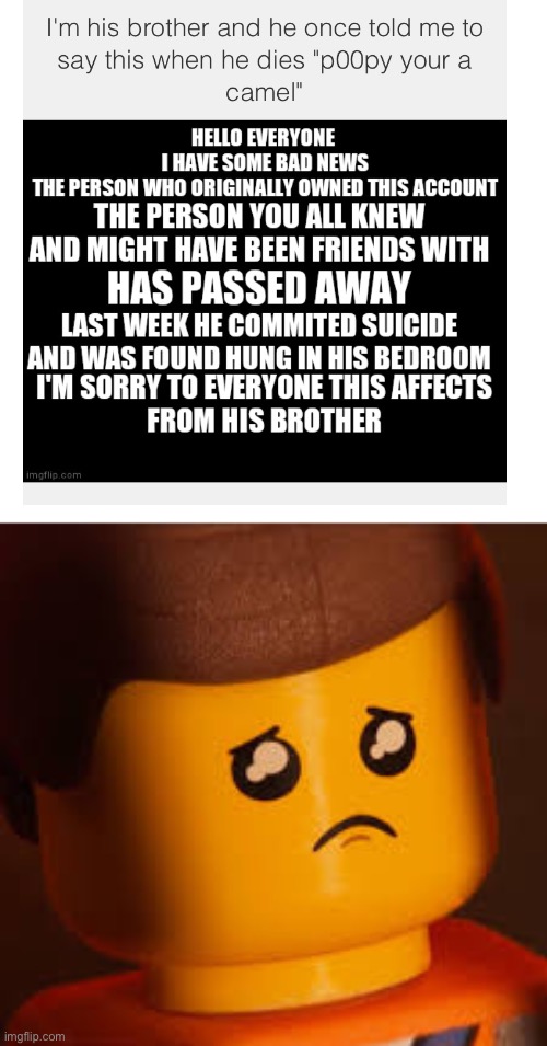 Rip my dude | image tagged in sad emmet | made w/ Imgflip meme maker