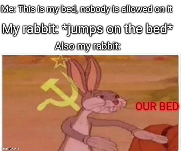 I love OJ and Hoppy so much lol |  Me: This is my bed, nobody is allowed on it; My rabbit: *jumps on the bed*; Also my rabbit:; OUR BED | image tagged in communist bugs bunny | made w/ Imgflip meme maker